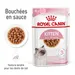 Royal Canin Kitten en sauce pour chaton