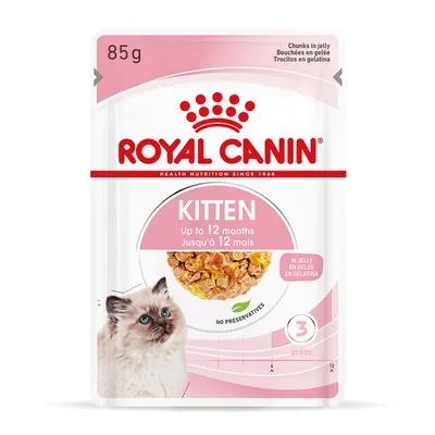 Royal Canin Kitten food, up to 12 months, chunks in jelly, no preservatives, 85g pouch, stage 3