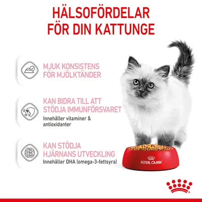 Royal Canin Kitten i gelé