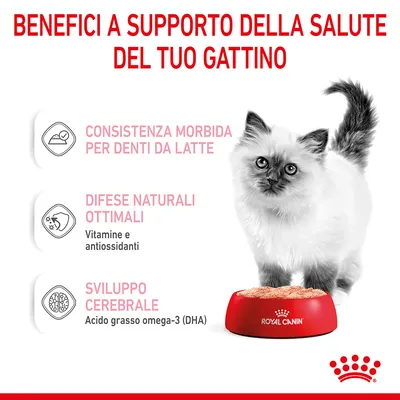 Benefici a supporto della salute del tuo gattino: consistenza morbida per denti da latte, difese naturali ottimali con vitamine e antiossidanti, sviluppo cerebrale con DHA. Royal Canin.