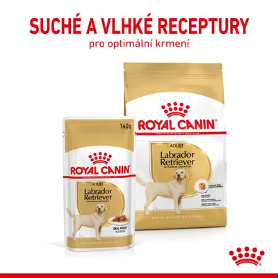 ROYAL CANIN ADULT Labrador Retriever suché a vlhké krmivo, 140 g. Text: SUCHÉ A VLHKÉ RECEPTURY pro optimální krmení.