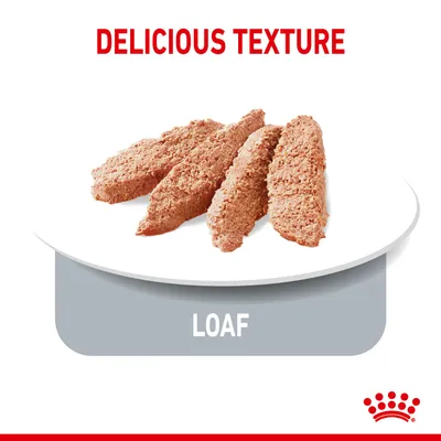 Image shows slices of loaf-style pet food on a plate with the text 'Delicious Texture' and 'Loaf' displayed.