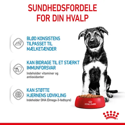 Sundhedsfordele for din hvalp: blød konsistens til mælketænder, kan bidrage til stærkt immunforsvar med vitaminer og antioxidanter, kan støtte hjernens udvikling med DHA. Royal Canin skål synlig.