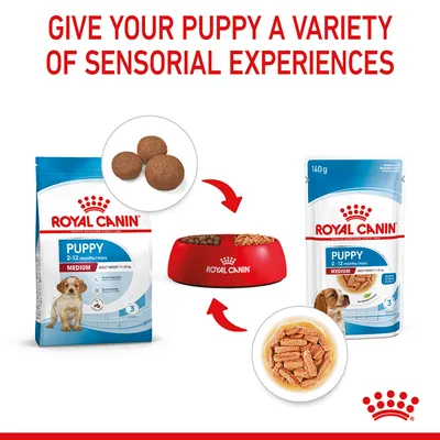 Image shows Royal Canin dry and wet puppy food for medium breeds, with arrows indicating both types can be served together in a bowl to provide varied sensorial experiences.