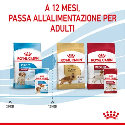 A 12 mesi, passa all’alimentazione per adulti. Royal Canin Puppy 2–12 mesi e Adult Cocker/Medium visibili con confezioni e lattine. Indicazioni: 2 mesi, 12 mesi.