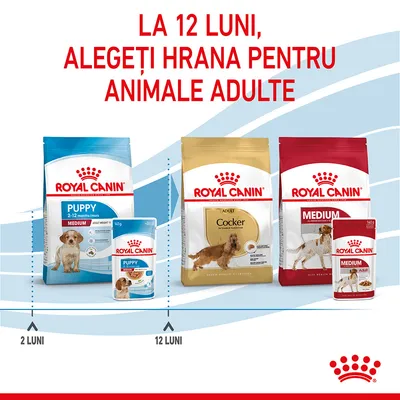 Imagine cu produse Royal Canin Puppy și Adult, text: La 12 luni, alegeți hrana pentru animale adulte. Linie cronologică de la 2 luni (Puppy) la 12 luni (Adult).