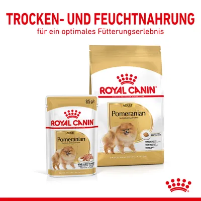 Royal Canin Trocken- und Feuchtnahrung für Pomeranian Adult. Optimales Fütterungserlebnis mit Bone & Joint Support. Verpackungen: 85g Nassfutter, Trockenfutterbeutel.
