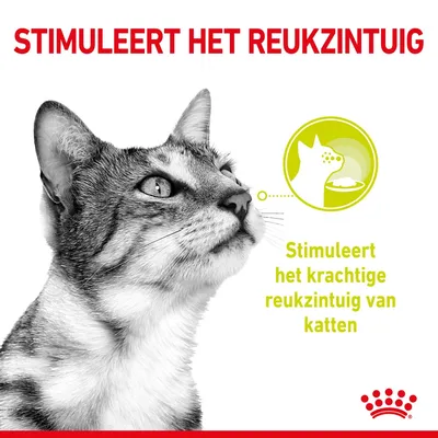 Stimuleert het reukzintuig. Stimuleert het krachtige reukzintuig van katten.