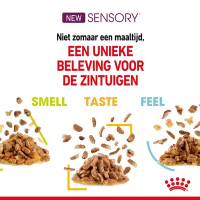 NEW SENSORY. Niet zomaar een maaltijd, een unieke beleving voor de zintuigen. SMELL, TASTE, FEEL. Drie porties natvoer met verschillende texturen en kleuren.
