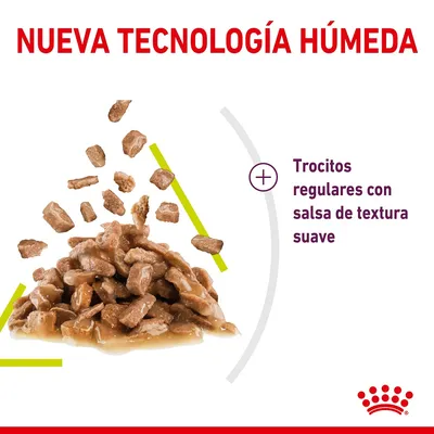 Nueva tecnología húmeda. Trocitos regulares con salsa de textura suave, imagen de comida húmeda para mascotas en salsa. Marca Royal Canin visible en la esquina inferior derecha.
