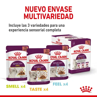 Royal Canin Sensory para gatos, pack multivariedad con 12 sobres de 85 g: 4 Smell, 4 Taste, 4 Feel. Incluye las 3 variedades para una experiencia sensorial completa.