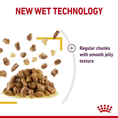 New wet technology with regular chunks and smooth jelly texture shown in product image.
