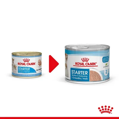 Две консерви Royal Canin Starter Mother & Babydog, показващи промяна в опаковката. Новата консерва е по-голяма и с надпис 1–2 months/mois, етап 2.