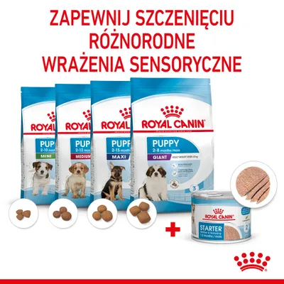 Royal Canin Puppy Mini 2–10 miesięcy, Medium 2–12 miesięcy, Maxi 2–15 miesięcy, Giant 2–8 miesięcy oraz puszka Starter Mother & Babydog 2–8 miesięcy. Różne kształty karmy.