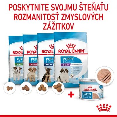 Royal Canin Puppy Mini 2–10 mesiacov, Medium 2–12 mesiacov, Maxi 2–15 mesiacov, Giant 2–8 mesiacov, konzerva Starter Mother & Babydog. Rôzne tvary granúl a paštéta.