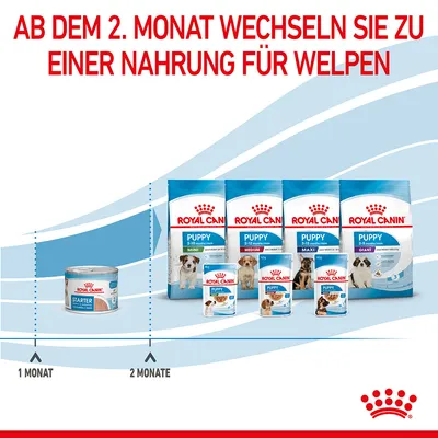 Texte en allemand : « Ab dem 2. Monat wechseln Sie zu einer Nahrung für Welpen ». Gamme Royal Canin Puppy visible, avec boîtes et sachets pour différentes tailles de chiots.
