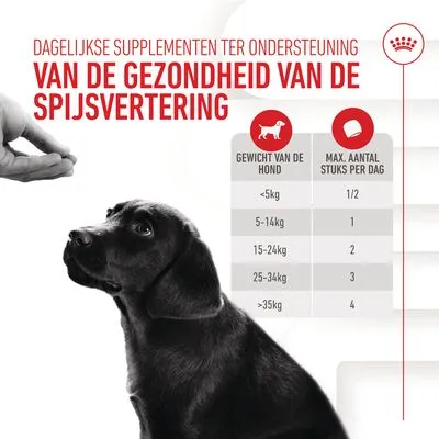 Royal Canin Puppy Immunity & Digestion Supplement  Kauwsnacks