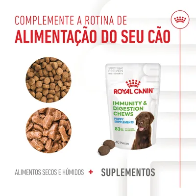 Royal Canin Immunity & Digestion Chews Puppy Supplements, embalagem com 40 unidades. Texto: 'Complete a rotina de alimentação do seu cão'. Alimentos secos, húmidos e suplementos visíveis.