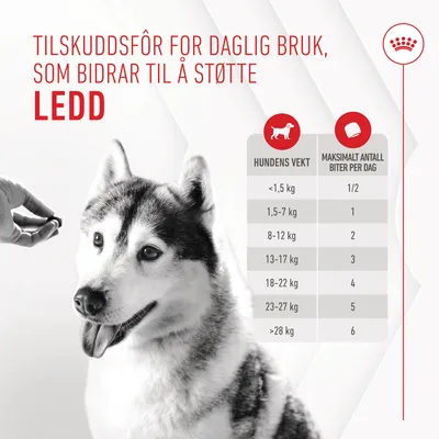 Royal Canin Joint & Ageing Adult Chews - kosttilskudd