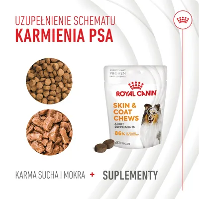 Royal Canin Skin & Coat Chews, 60 sztuk. Uzupełnienie schematu karmienia psa: karma sucha i mokra plus suplementy. Widoczne granulki karmy i opakowanie suplementu.