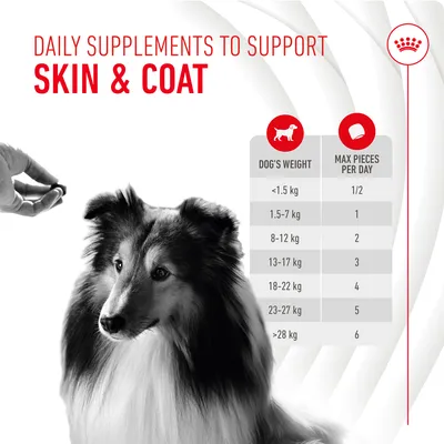 Royal Canin Skin & Coat Adult Supplement grickalice