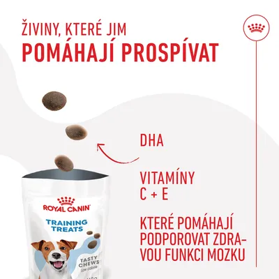 ROYAL CANIN TRAINING TREATS TASTY CHEWS, DHA, vitamíny C + E, které pomáhají podporovat zdravou funkci mozku. Živiny, které jim pomáhají prospívat.