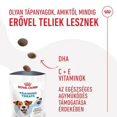 Olyan tápanyagok, amiktől mindig erővel teliek lesznek. DHA, C + E vitaminok az egészséges agyműködés támogatása érdekében. Royal Canin Training Treats Tasty Chews.