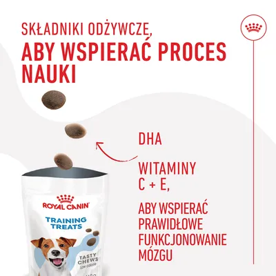 Royal Canin Training Treats Tasty Chews. Składniki odżywcze: DHA, witaminy C + E, aby wspierać prawidłowe funkcjonowanie mózgu i proces nauki.