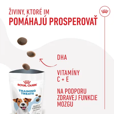 Royal Canin Training Treats, DHA, vitamíny C + E, na podporu zdravej funkcie mozgu. Živiny, ktoré im pomáhajú prosperovať. Tasty Chews low calorie.