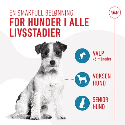 Royal Canin Training Treats