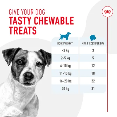 Feeding guide for tasty chewable treats: dogs under 2kg, 3 pieces; 2-5kg, 5; 6-10kg, 12; 11-15kg, 18; 16-20kg, 22; 20kg, 31 pieces per day.