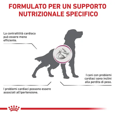 FORMULATO PER UN SUPPORTO NUTRIZIONALE SPECIFICO. La contrattilità cardiaca può essere meno efficiente. I problemi cardiaci possono essere associati all'ipertensione. I cani con problemi cardiaci sono inclini alla perdita di peso.