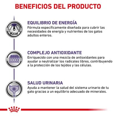 Beneficios del producto: equilibrio de energía para gatos adultos, complejo antioxidante para protección celular y salud urinaria gracias al equilibrio de minerales.