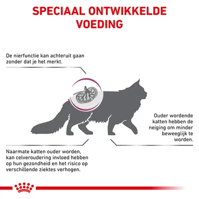 Speciaal ontwikkelde voeding. De nierfunctie kan achteruit gaan zonder dat je het merkt. Ouder wordende katten hebben de neiging om minder beweeglijk te worden. Celveroudering verhoogt ziekterisico.