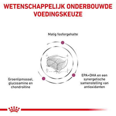Wetenschappelijk onderbouwde voedingskeuze: matig fosforgehalte, groenlipmossel, glucosamine en chondroïtine, EPA+DHA en een synergetische samenstelling van antioxidanten.