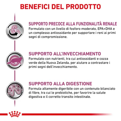 Benefici del prodotto: supporto precoce alla funzionalità renale, supporto all’invecchiamento, supporto alla digestione. Testo descrittivo su formulazione e ingredienti visibile.