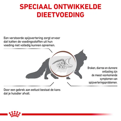 Speciaal ontwikkelde dieetvoeding voor katten. Tekst: verstoorde spijsvertering belemmert opname voedingsstoffen, symptomen zijn braken, diarree, dunne ontlasting, kans op gewichtsverlies.