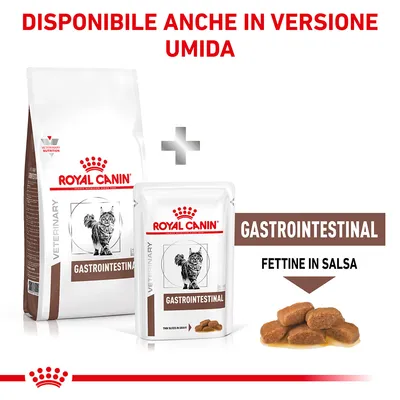 Royal Canin Gastrointestinal per gatti, disponibile anche in versione umida. Immagine di crocchette e bustina con scritta 'Fettine in salsa'.