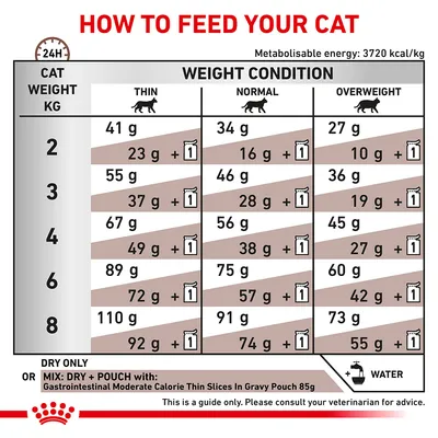 Feeding guide chart showing daily dry and mixed food amounts by cat weight and condition: thin, normal, overweight. Includes pouch mixing instructions and water reminder.