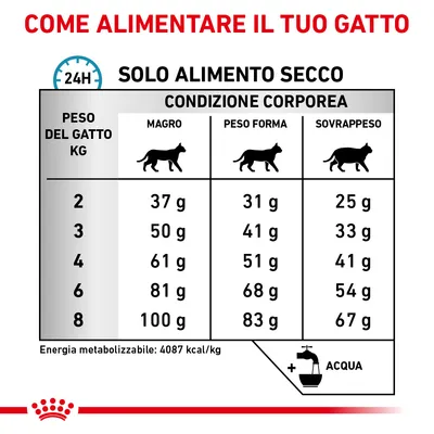 Tabella consigli alimentari per gatto: peso 2–8 kg, dosi giornaliere in grammi per magro, peso forma e sovrappeso. Energia metabolizzabile: 4087 kcal/kg. Acqua sempre disponibile.