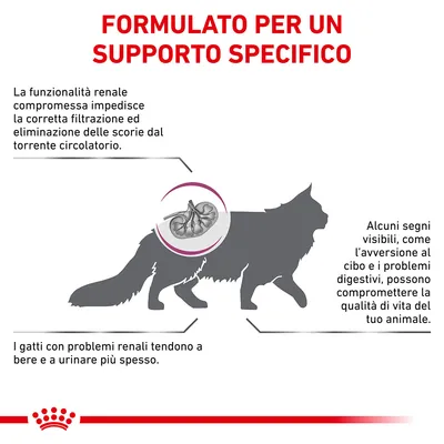 FORMULATO PER UN SUPPORTO SPECIFICO. La funzionalità renale compromessa impedisce la corretta filtrazione ed eliminazione delle scorie dal torrente circolatorio. I gatti con problemi renali tendono a bere e a urinare più spesso. Alcuni segni visibili, come l’avversione al cibo e i problemi digestivi, possono compromettere la qualità di vita del tuo animale.