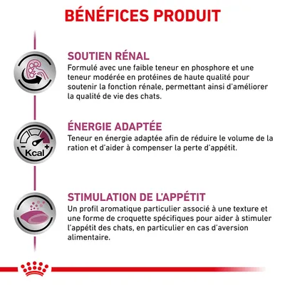 BÉNÉFICES PRODUIT : SOUTIEN RÉNAL, ÉNERGIE ADAPTÉE, STIMULATION DE L’APPÉTIT. Détails sur formulation pour fonction rénale, énergie adaptée et stimulation de l’appétit des chats.