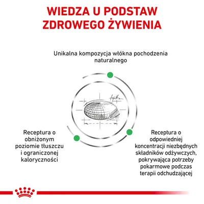 Wiedza u podstaw zdrowego żywienia. Unikalna kompozycja włókna pochodzenia naturalnego. Receptura o obniżonym poziomie tłuszczu i ograniczonej kaloryczności oraz odpowiedniej koncentracji składników odżywczych. Wiedza u podstaw zdrowego żywienia. Unikalna kompozycja włókna pochodzenia naturalnego. Receptura o obniżonym poziomie tłuszczu i ograniczonej kaloryczności oraz odpowiedniej koncentracji składników odżywczych.
