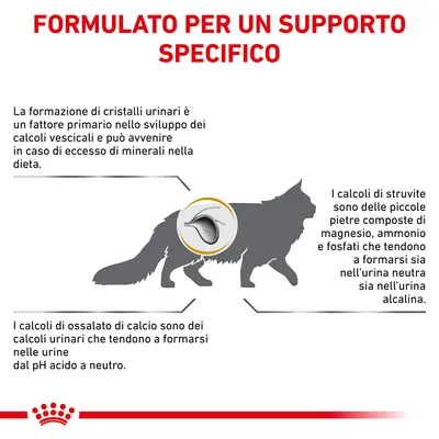 FORMULATO PER UN SUPPORTO SPECIFICO. Informazioni sulla formazione di cristalli urinari e calcoli di struvite e ossalato di calcio nei gatti, con spiegazione dei fattori e composizione.