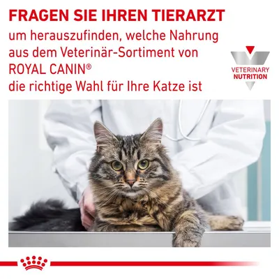 Fragen Sie Ihren Tierarzt, welche Nahrung aus dem Veterinär-Sortiment von Royal Canin die richtige Wahl für Ihre Katze ist. Veterinary Nutrition Logo sichtbar.