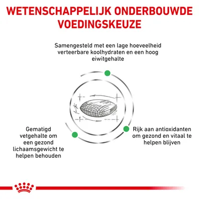 Wetenschappelijk onderbouwde voedingskeuze: laag verteerbare koolhydraten, hoog eiwitgehalte, gematigd vetgehalte, rijk aan antioxidanten. Royal Canin merk zichtbaar.