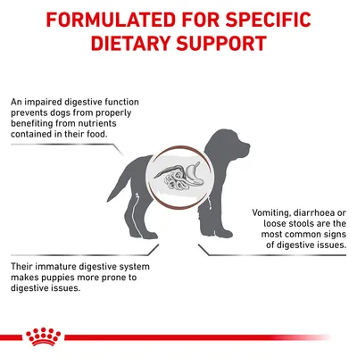 Formulated for specific dietary support. Digestive issues in dogs include impaired nutrient absorption, vomiting, diarrhoea or loose stools, and puppies are more prone due to immature systems.