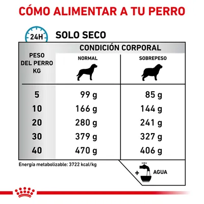 Tabla de alimentación diaria para perros según peso y condición corporal: 5–40 kg, cantidades en gramos para normal y sobrepeso. Energía metabolizable: 3722 kcal/kg. Añadir agua.