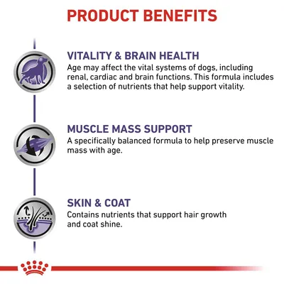 Product benefits: supports vitality and brain health, helps preserve muscle mass with age, and contains nutrients for hair growth and coat shine.