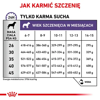 Tabela żywienia szczeniąt: masa ciała 26–45 kg, wiek 6–15 miesięcy, dzienne porcje karmy suchej w gramach. Energia metaboliczna: 3706 kcal/kg. Zalecenie: zawsze dostępna woda.
